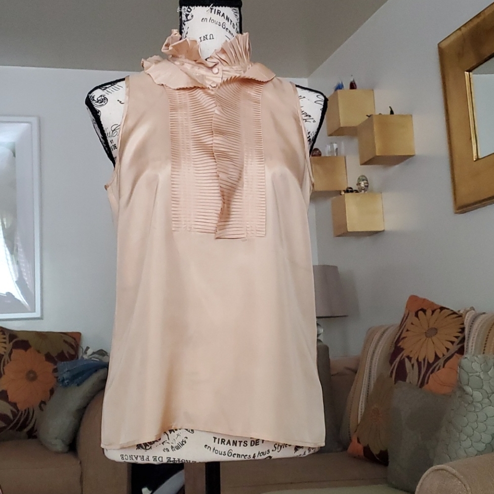 Silk top (gently worn)